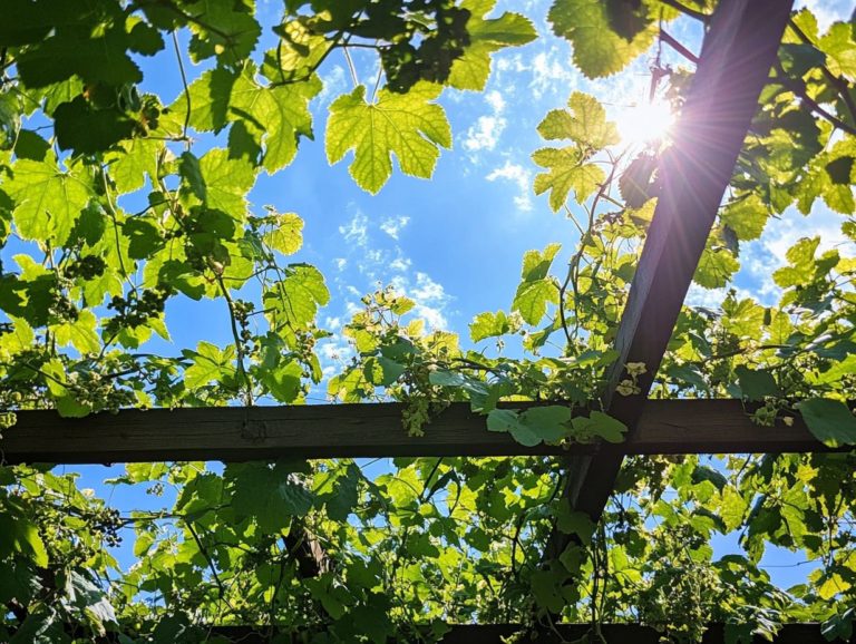 5 Drought-Resistant Vines for Vertical Spaces